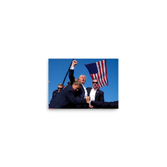 Donald Trump FIGHT MAGA 5x7 Poster