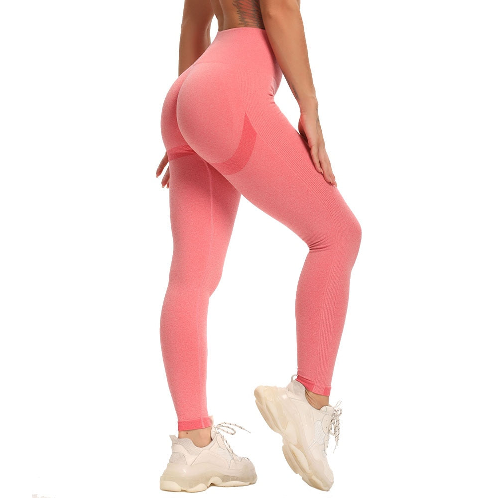 Seamless Leggings - Fitness - Yoga Pants - High Waist Activewear