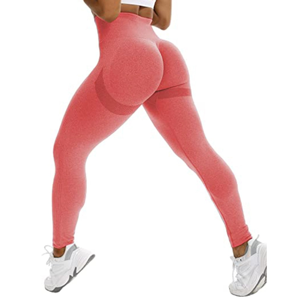 Seamless Leggings - Fitness - Yoga Pants - High Waist Activewear